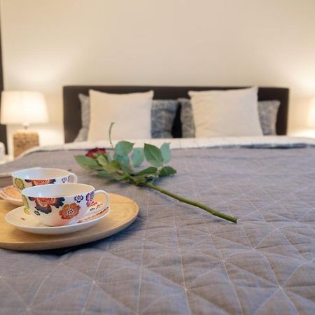 Central Bright Apartment Kaloşvar Dış mekan fotoğraf